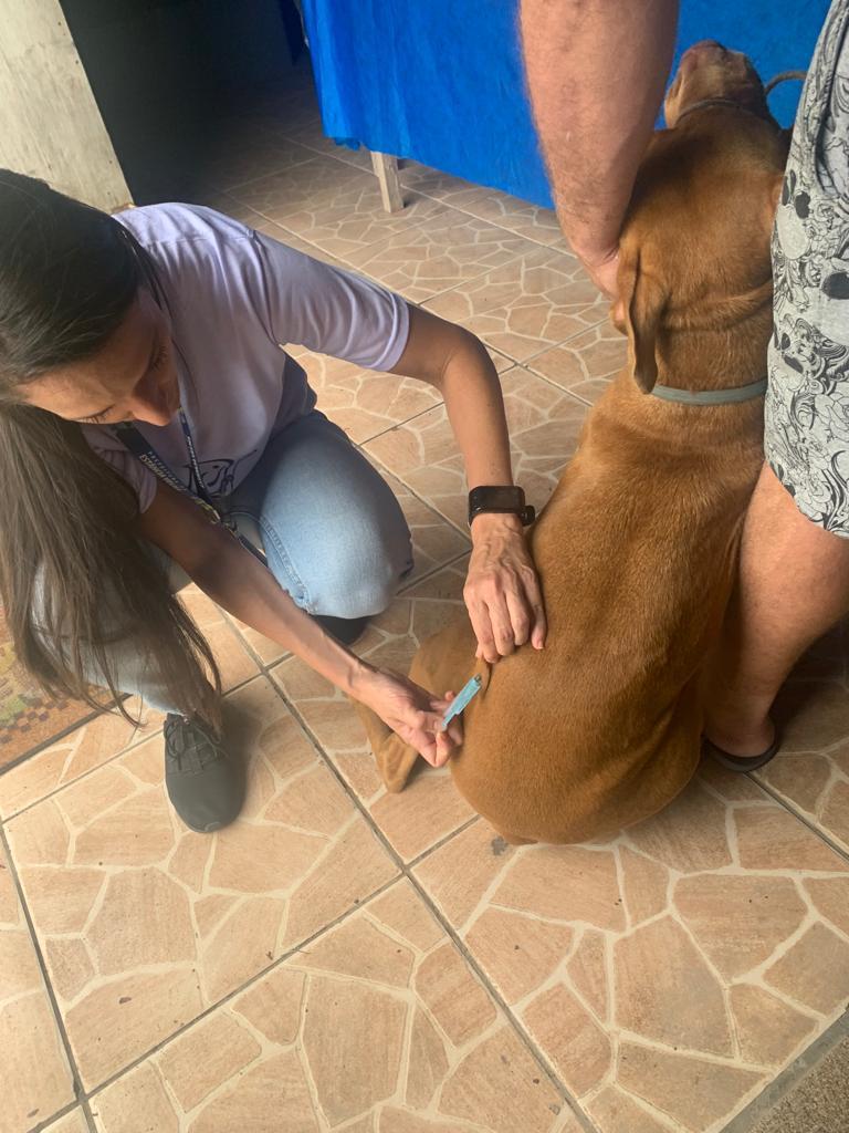 Rincão recebe etapa da vacinação de animais