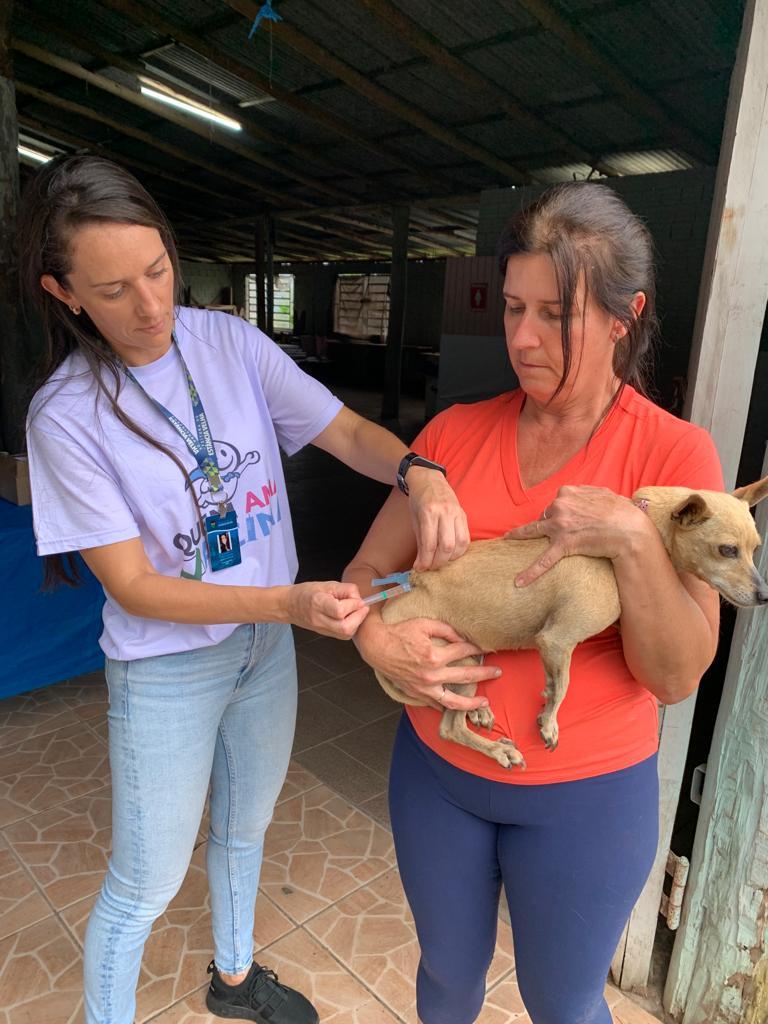 Vacinação animal no dia 30 no bairro Rincão