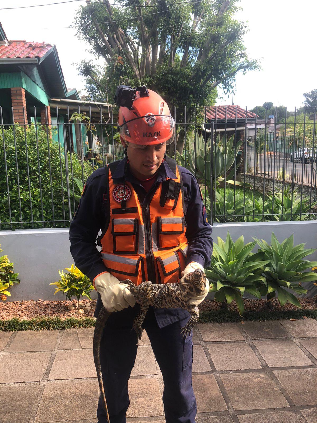 Bombeiros capturam lagarto em residência