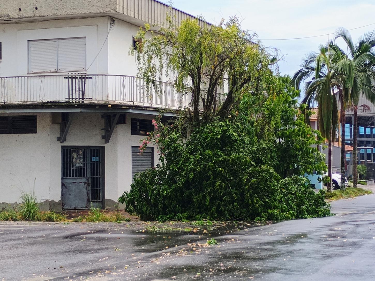 Chuva forte causa danos na cidade