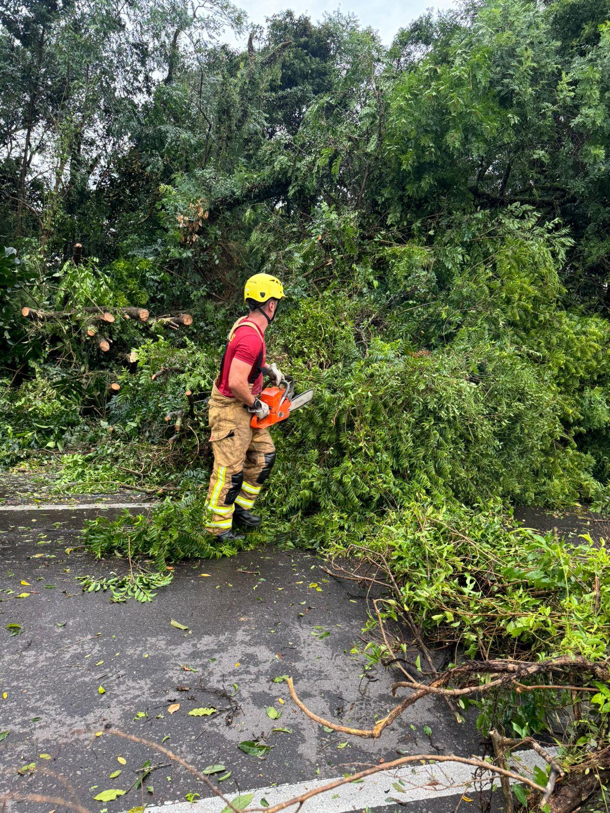 Defesa Civil e bombeiros atuam no pós chuva