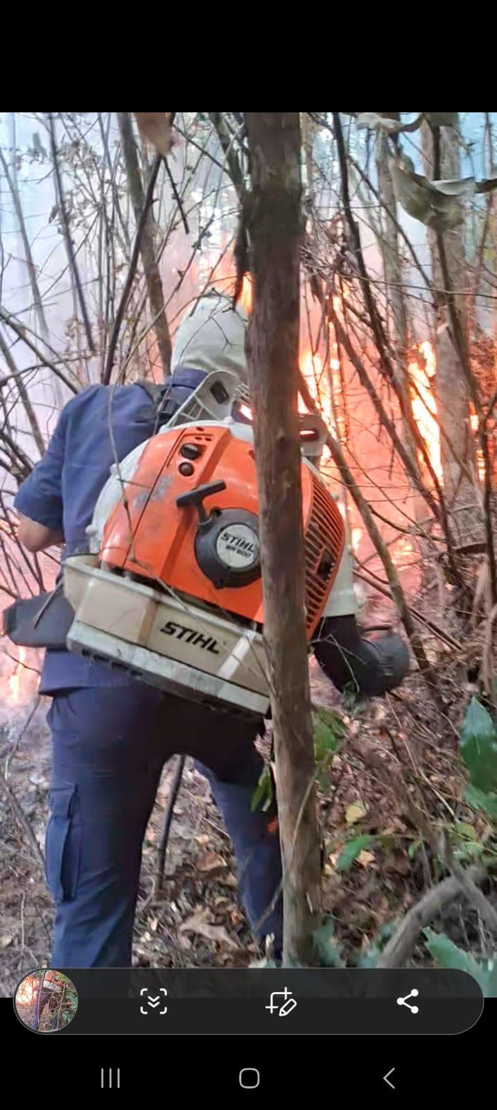Mais um incêndio em vegetação