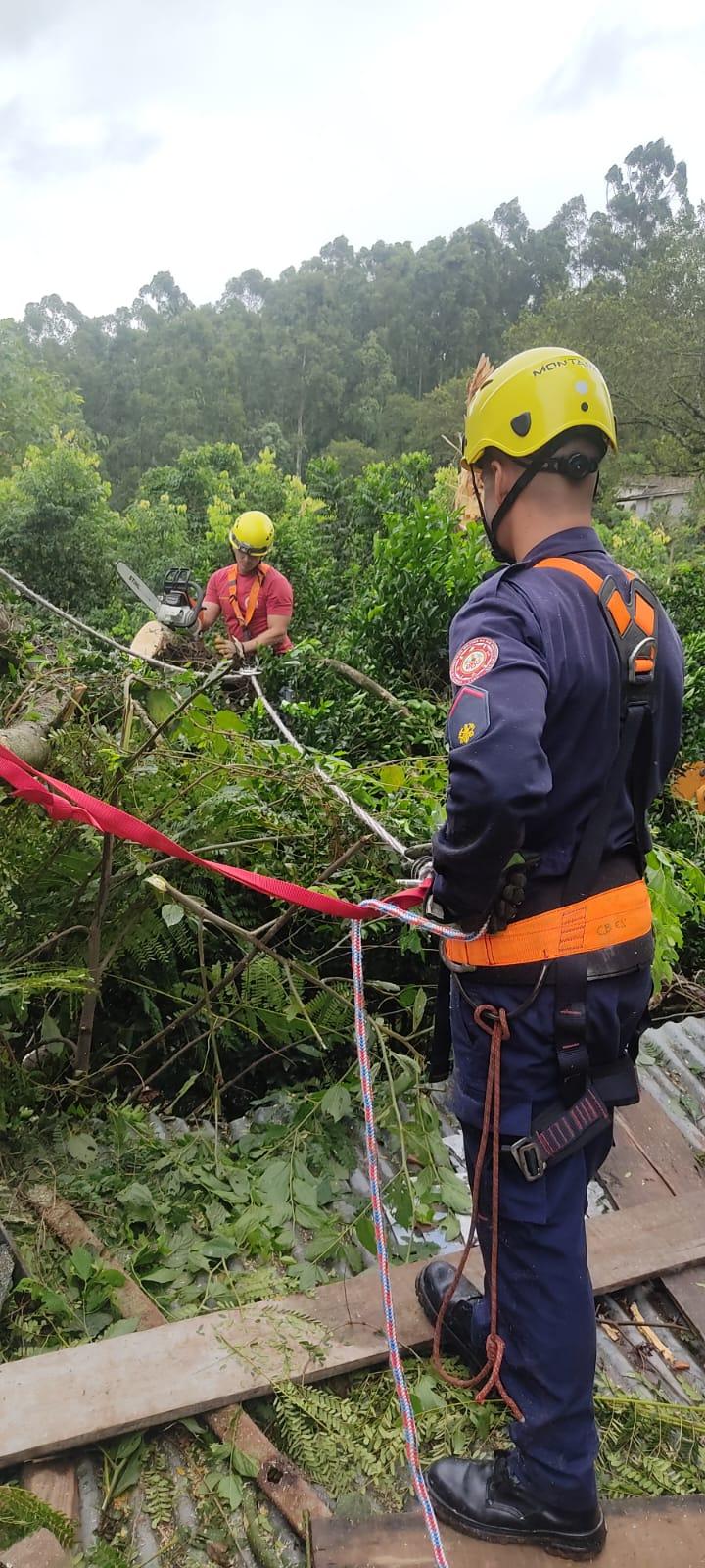 Árvore atinge residência no Morro Agudo