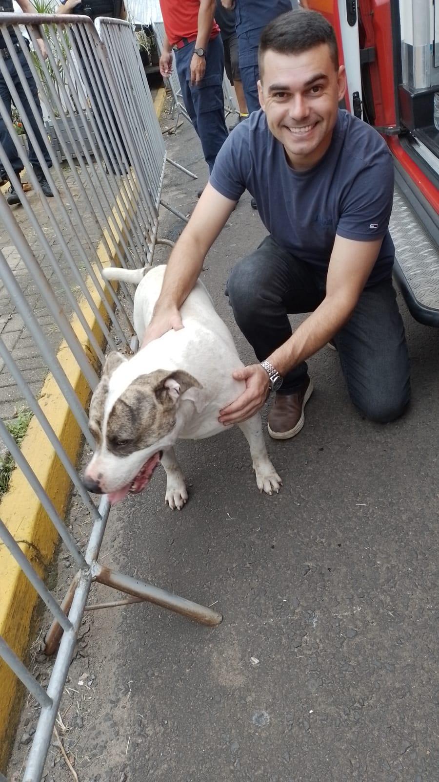 Defesa Civil resgata cão perdido na área central