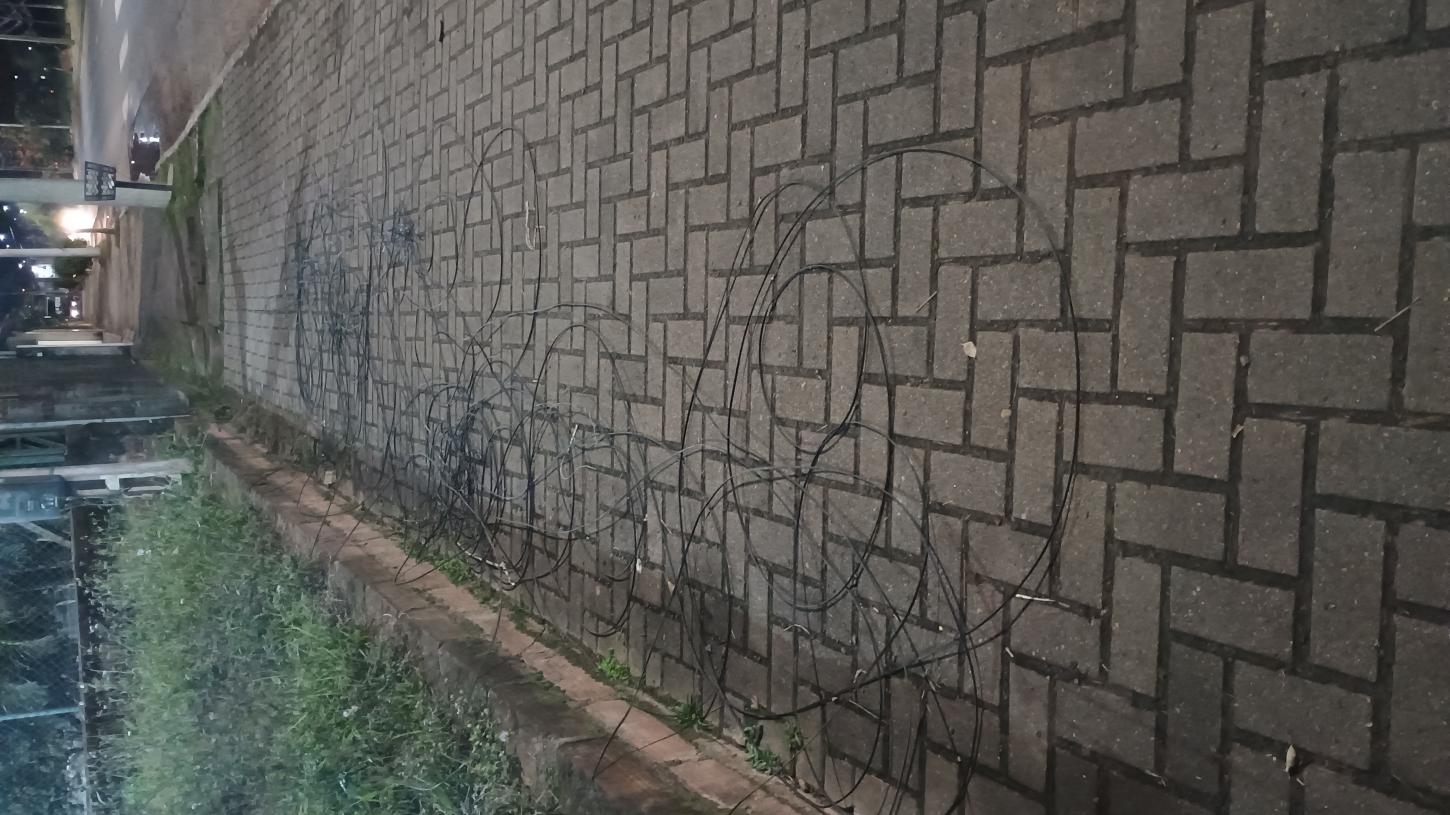 Situação de fios excedentes é tema de reunião na Câmara Municipal