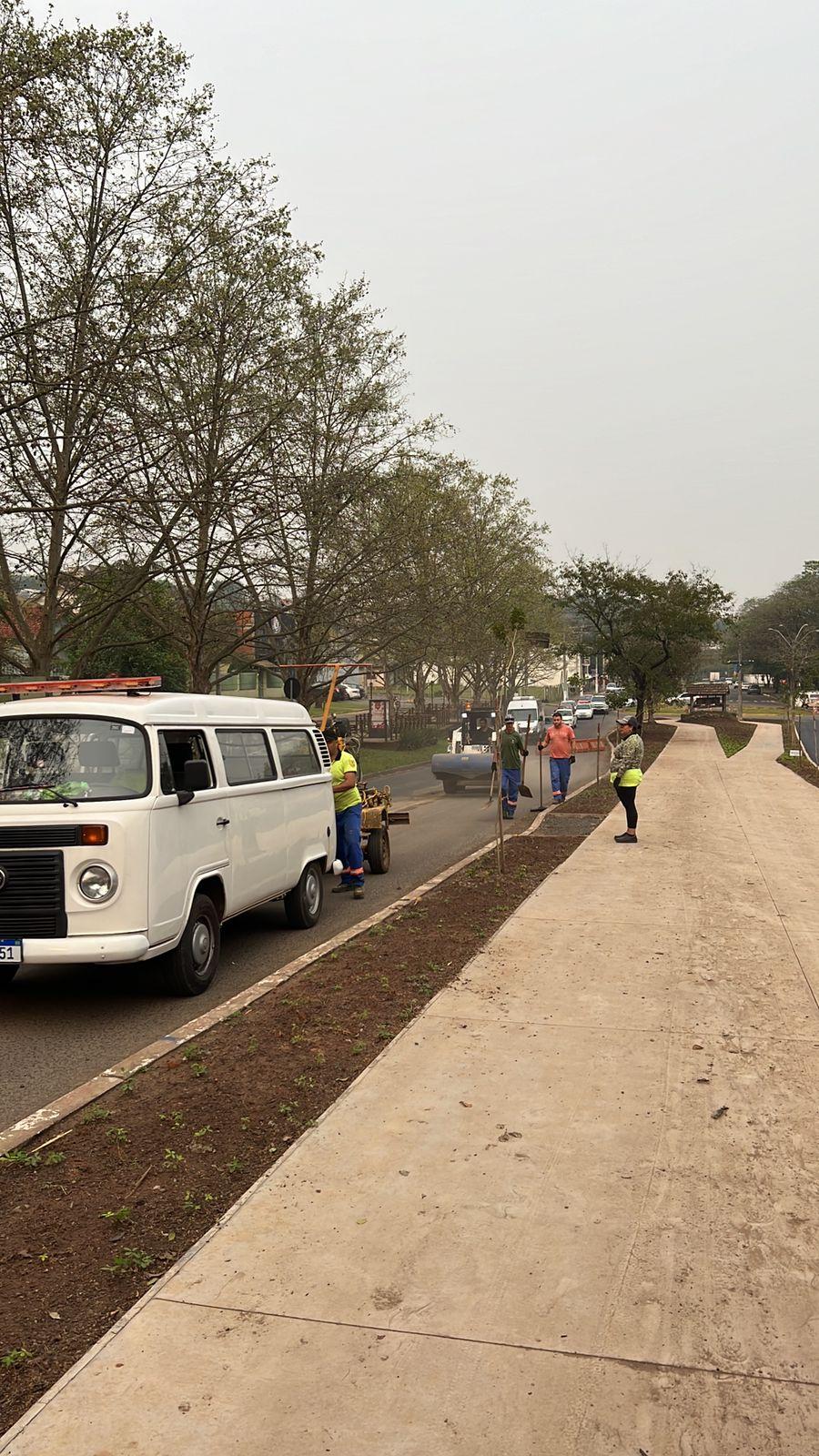 Avenida Presidente Vargas recebe reforço na sinalização