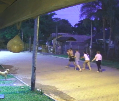 Criança leva 12 pontos após ser atacada por cão