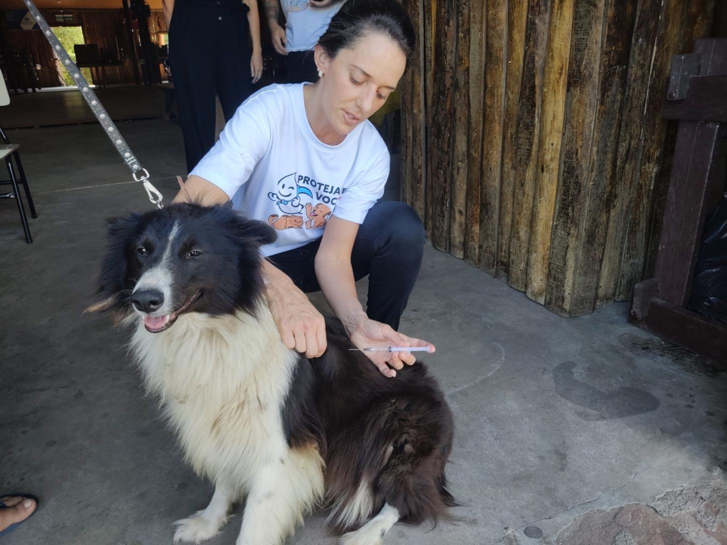 Neste sábado tem vacinação de cães e gatos na Praça Leonel Brizola