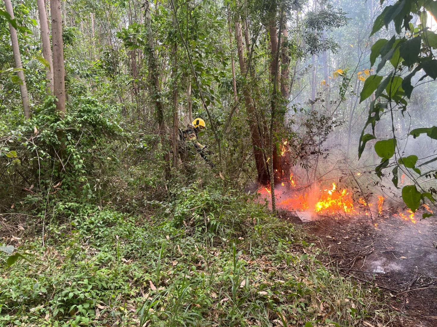 Mais uma área afetada por incêndio em vegetação