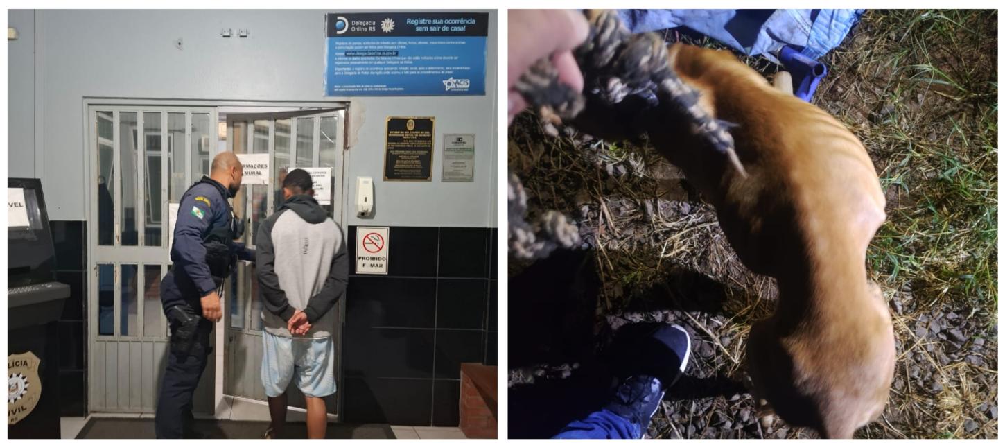 HOMEM É PRESO POR MAUS TRATOS À CÃO
