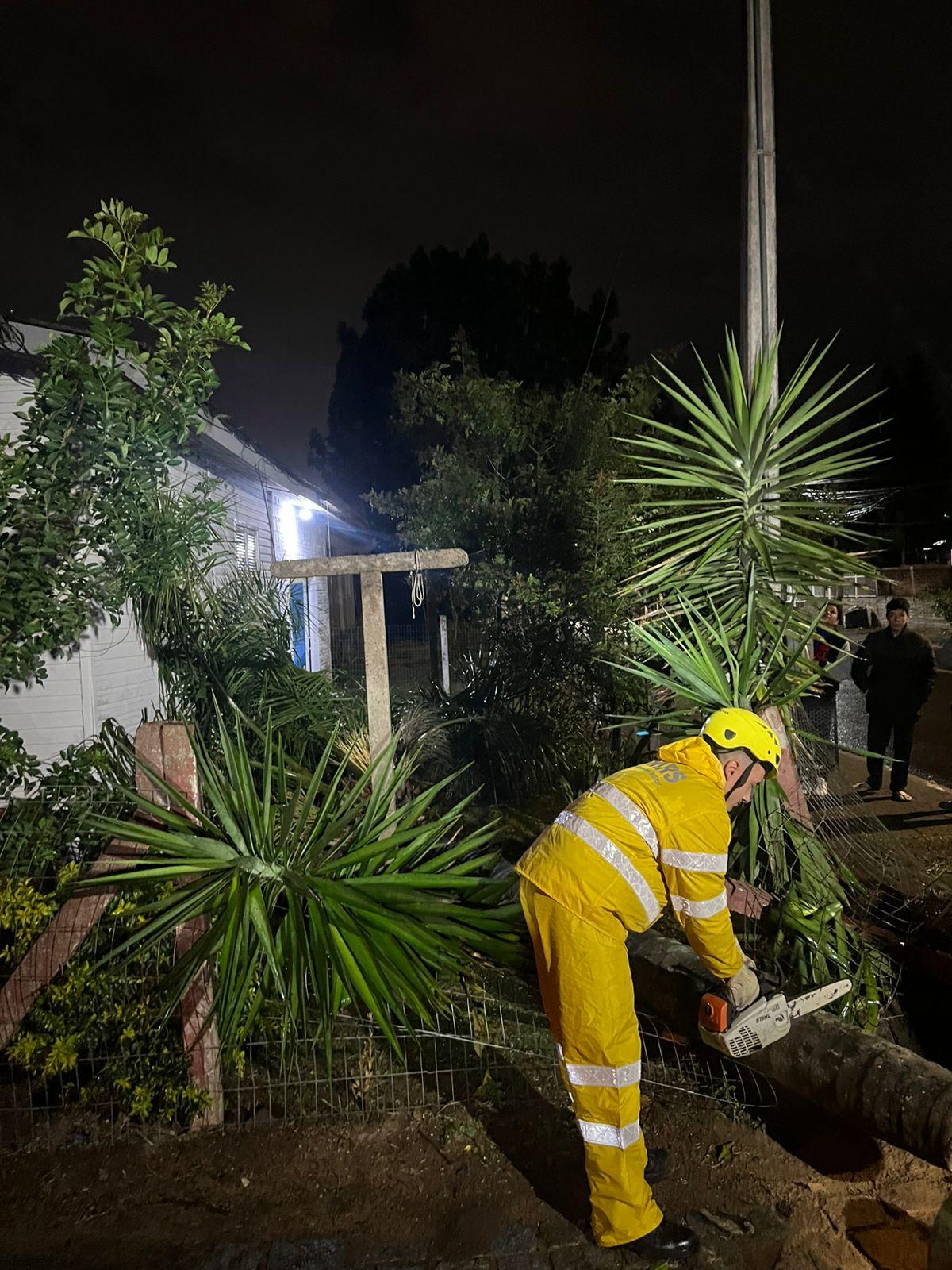 Árvore caída em residência em Estância Velha
