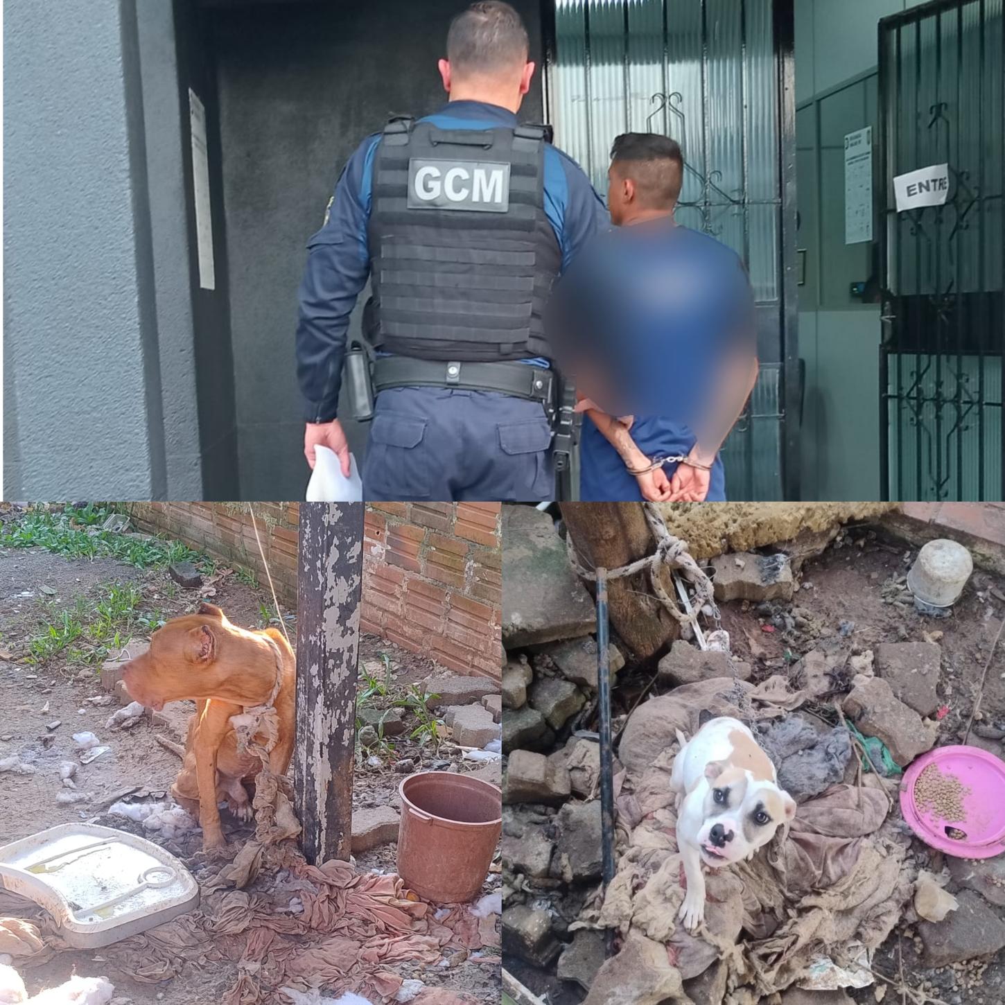 HOMEM É PRESO EM FLAGRANTE POR CRUELDADE CONTRA ANIMAIS EM ESTÂNCIA VELHA
