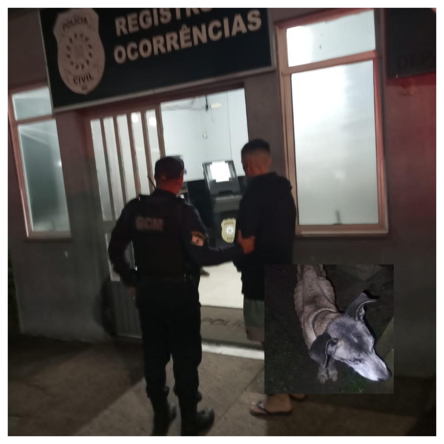 MAIS UM CASO DE CRUELDADE CONTRA ANIMAIS É FLAGRADO EM ESTÂNCIA VELHA