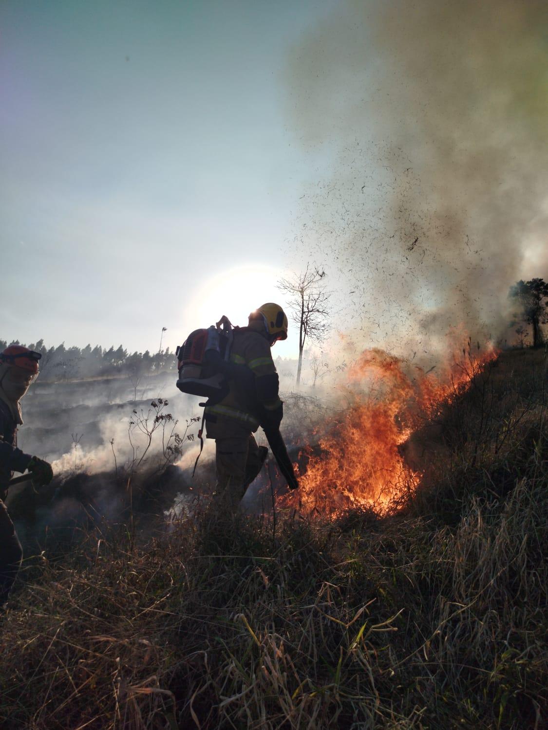 Mais um incêndio em vegetação em Estância Velha