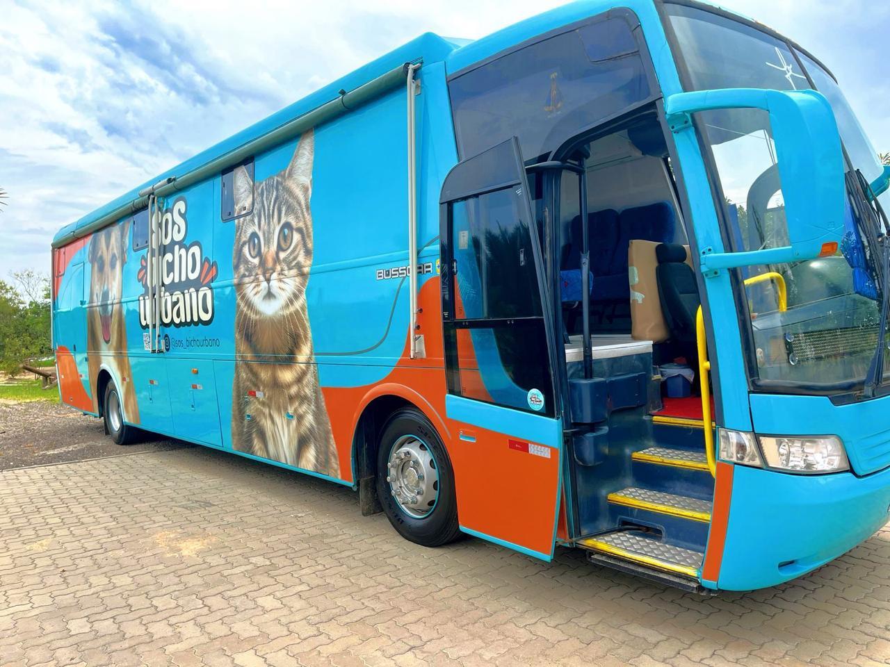 Mutirão de castração de gatos será em setembro