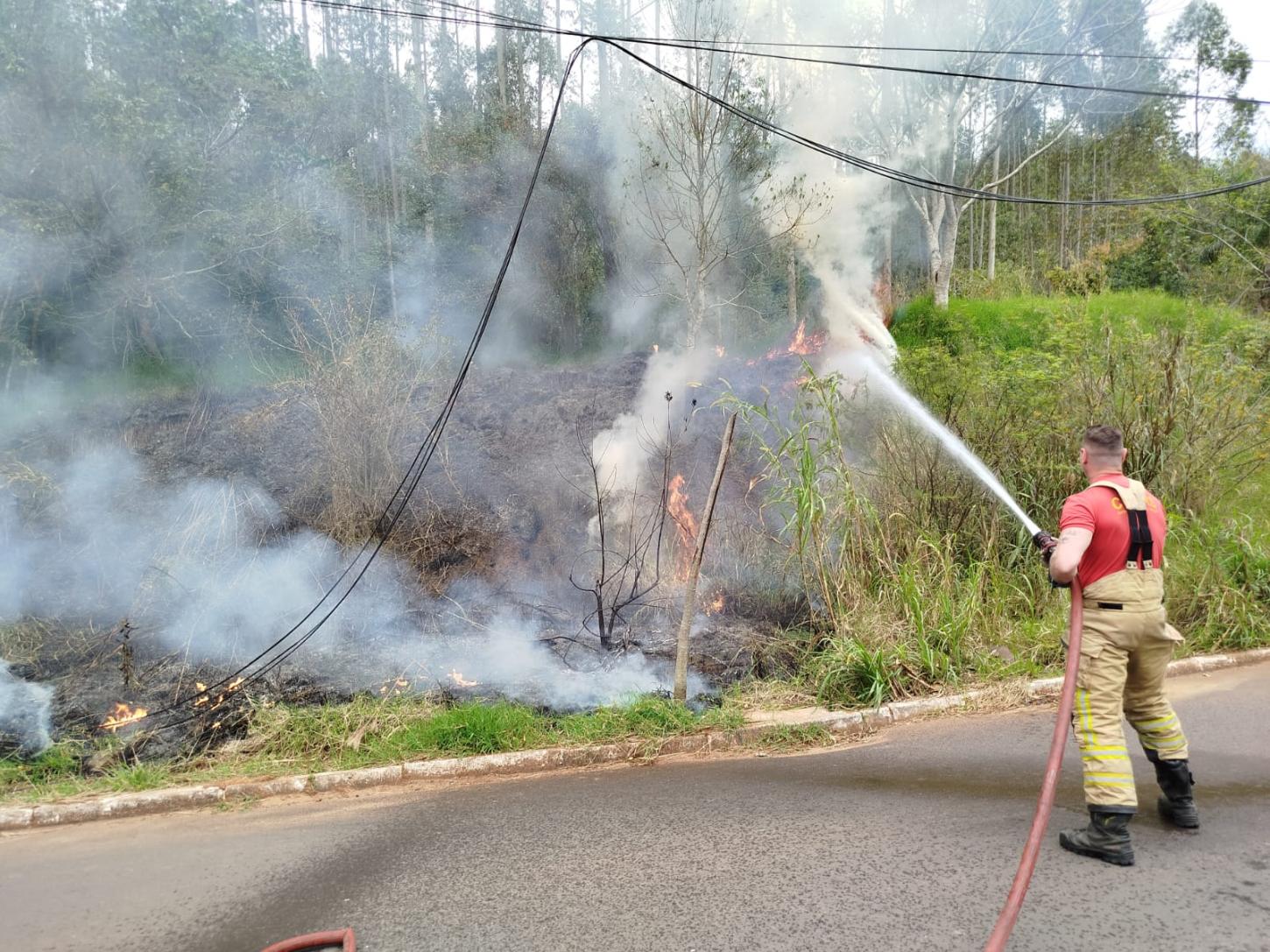Bombeiros combatem novo incêndio em vegetação