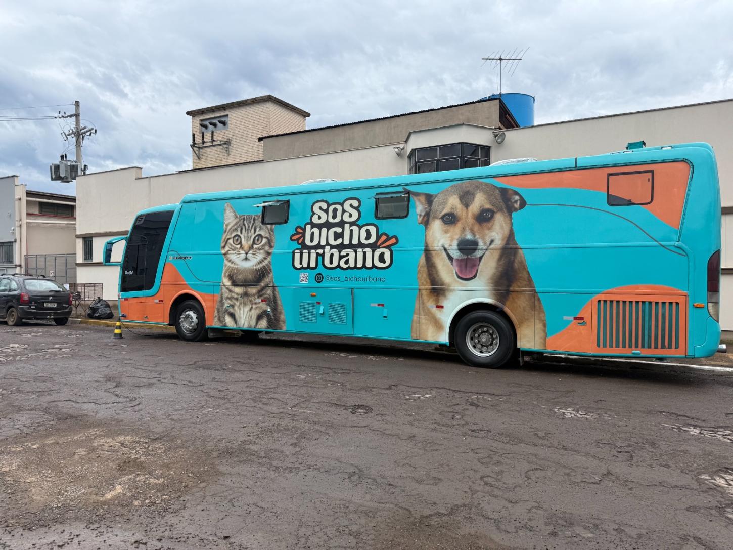 Estância Velha realiza mutirão de castração no bairro Rincão dos Ilhéus