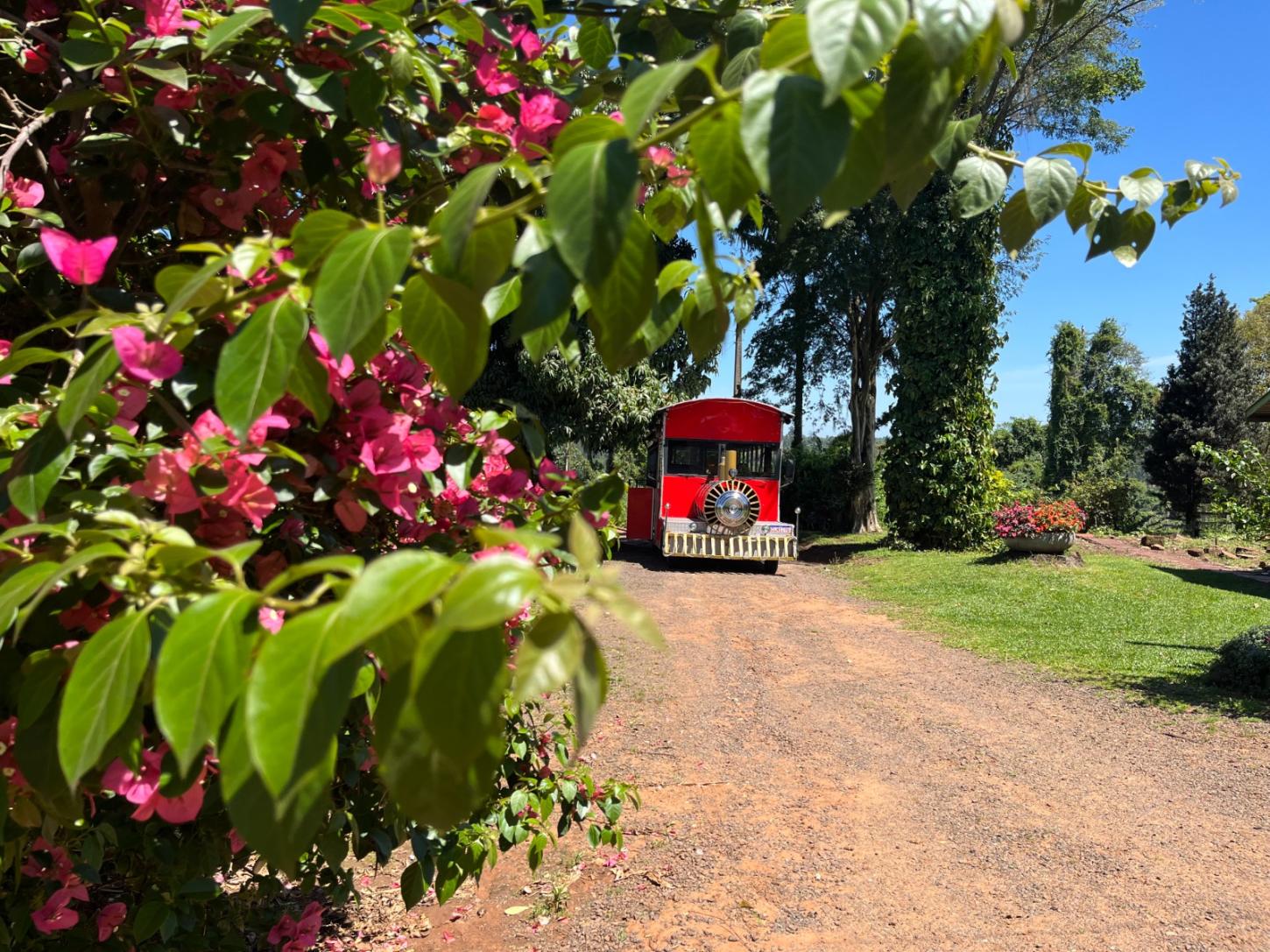 Inscrições abertas para os passeios do Turismo Rural comemorativos ao aniversário da cidade