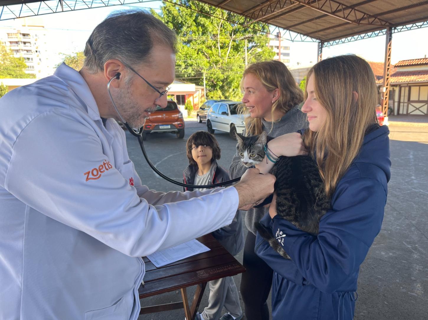 Município distribui medicamentos para esporotricose em gatos