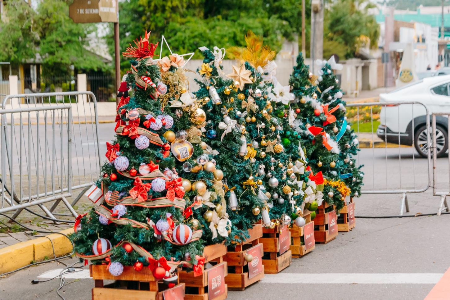 Inscrições abertas para a Campanha Adote Uma Árvore do 5º Natal Família