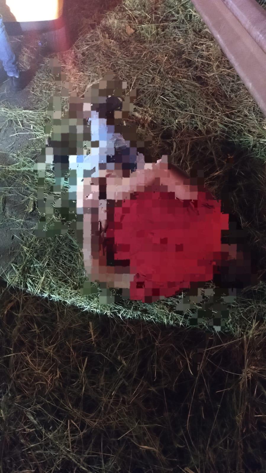 Motorista é preso em Estância Velha após ser flagrado bêbado ao volante duas vezes na mesma noite