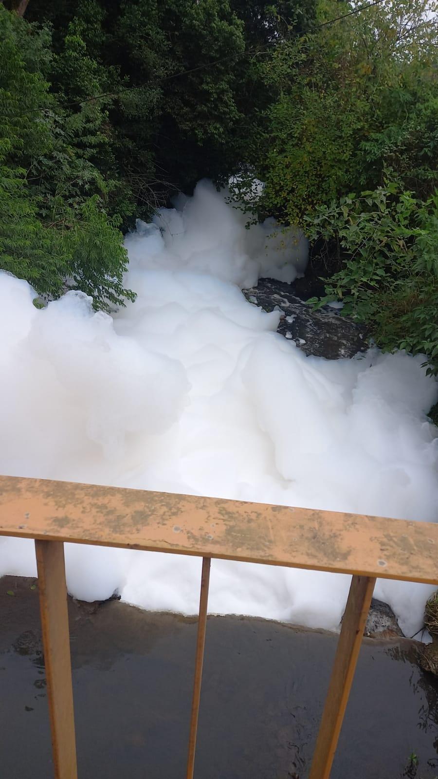 NOTA: Espuma no Arroio Estância Velha