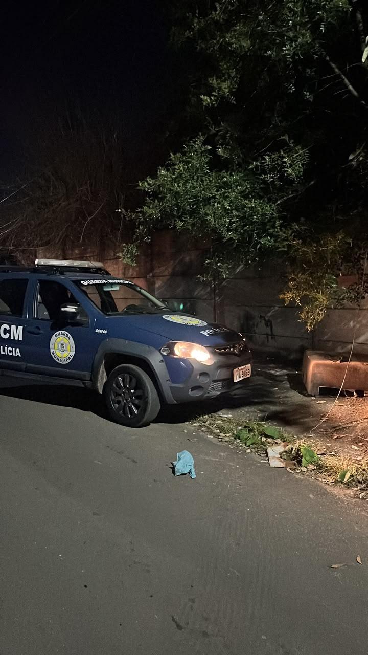 Guarda Civil Municipal intensifica emprego do cão policial Conan no combate ao tráfico de drogas