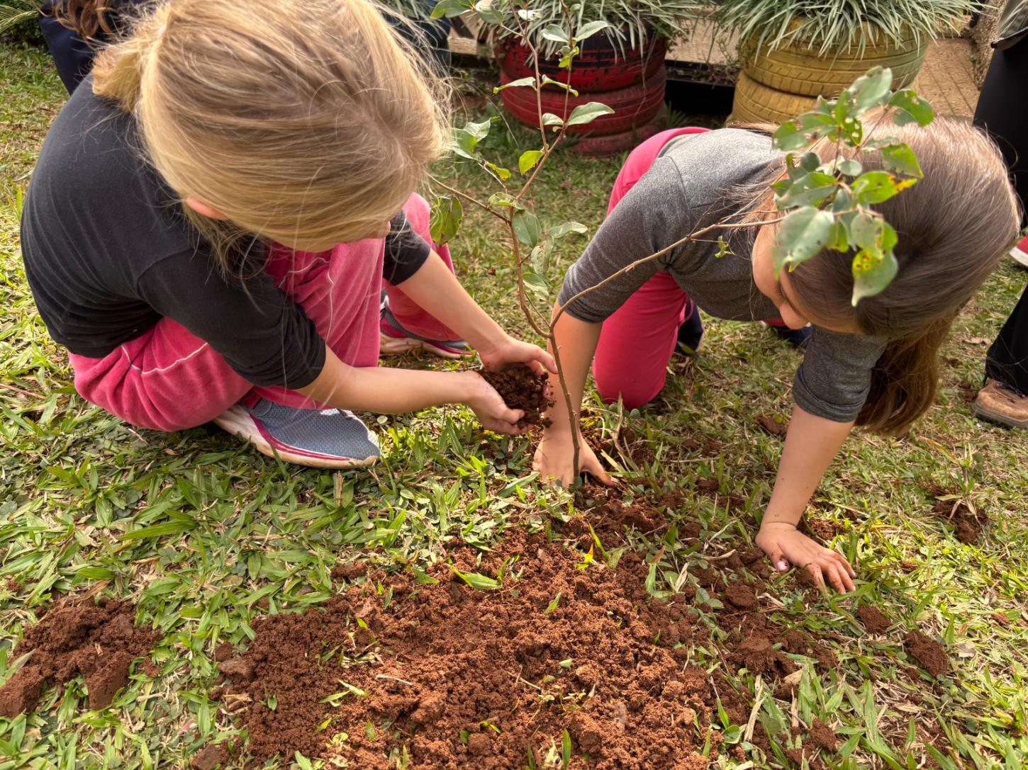 Projeto Pomar Escolar levará 100 árvores nativas para escolas de Estância Velha
