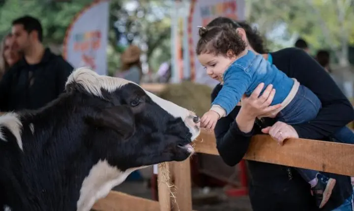 5ª Ruralfest tem programação faniliar e celebração das raízes do campo em Estância Velha