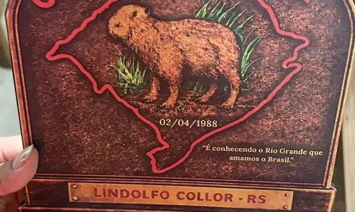 CTG Gaudérios da Saudade conquista premiações no Rodeio em Lindolfo Collor