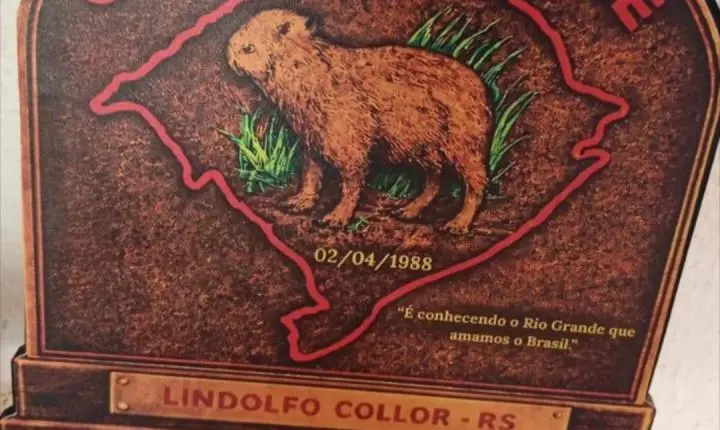 CTG Gaudérios da Saudade conquista premiações no Rodeio em Lindolfo Collor