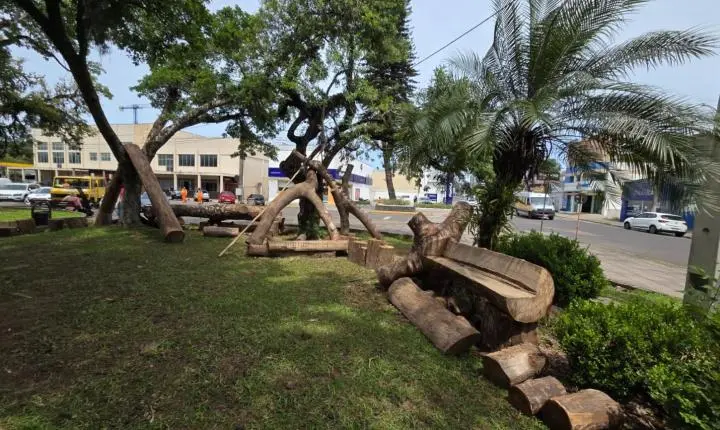 Estância Velha instala Pátio Naturalizado na Praça 1º de Maio