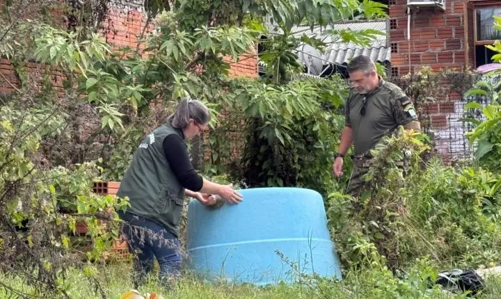 Estância Velha intensifica combate à dengue com mutirão no Rincão dos Ilhéus