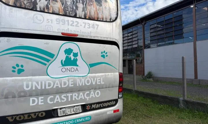 Estância Velha: mutirão de Castração atende 110 cães e gatos no Rincão dos Ilhéus