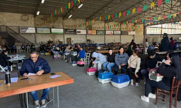 Estância Velha: mutirão de Castração atende 110 cães e gatos no Rincão dos Ilhéus