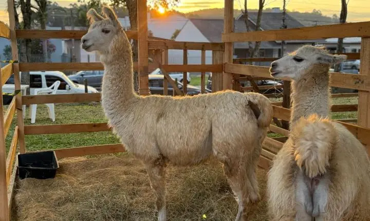 Estância Velha prepara a 5ª edição da Ruralfest de 24 e 26 de julho