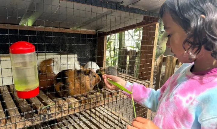 Estância Velha promove festa de Dia das Crianças para famílias atendidas pela assistência social