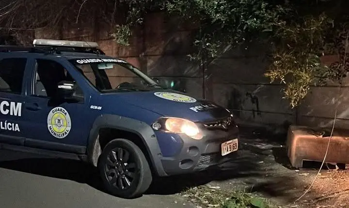 Guarda Civil Municipal intensifica emprego do cão policial Conan no combate ao tráfico de drogas