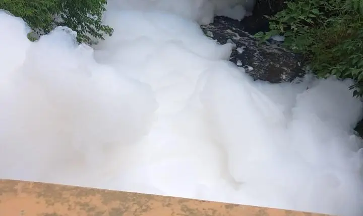 NOTA: Espuma no Arroio Estância Velha
