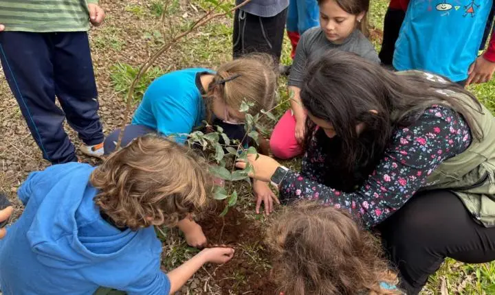 Projeto Pomar Escolar levará 100 árvores nativas para escolas de Estância Velha