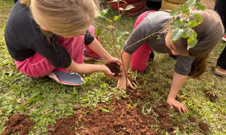 Projeto Pomar Escolar levará 100 árvores nativas para escolas de Estância Velha