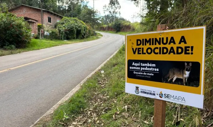 Semana Municipal do Meio Ambiente mobiliza estudantes com plantio de árvores