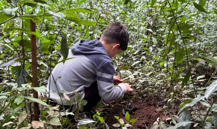 Semana Municipal do Meio Ambiente mobiliza estudantes com plantio de árvores
