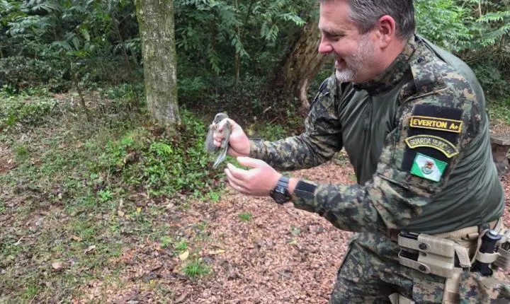 Trinca-ferro resgatado de cativeiro irregular é devolvido à natureza em Estância Velha