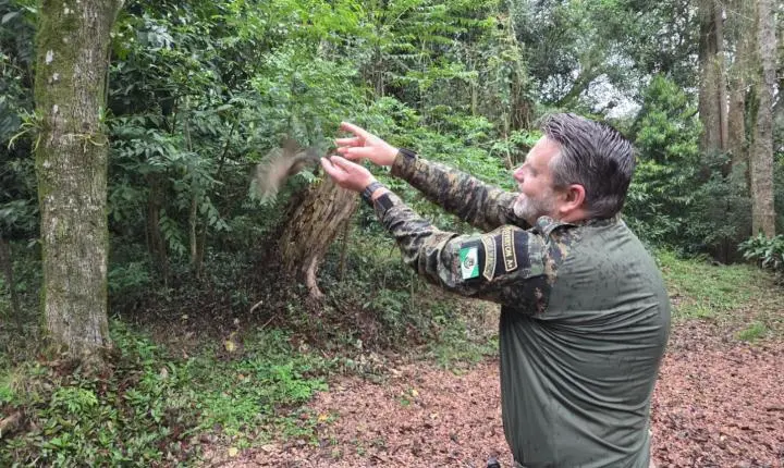 Trinca-ferro resgatado de cativeiro irregular é devolvido à natureza em Estância Velha